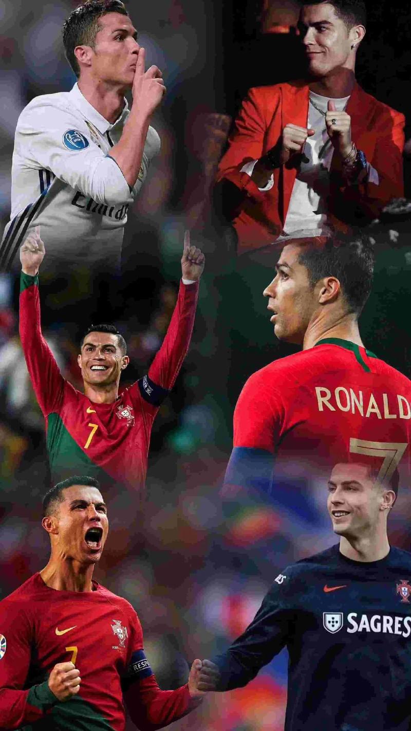 欧洲预选赛的精彩瞬间:全场观众尽情欢呼的简单介绍 欧洲预选赛的精彩瞬间:全场观众尽情欢呼的简单介绍